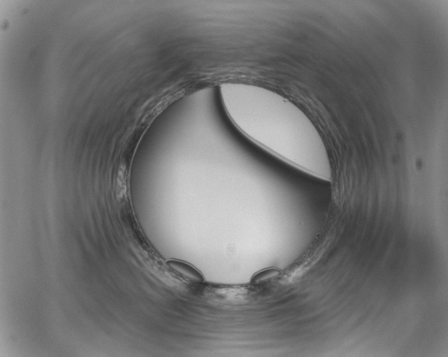 X0000067940478200604131136