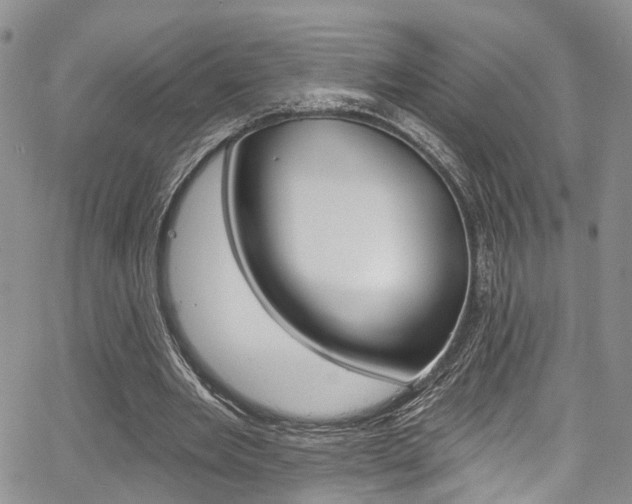 X0000067940485200604131135