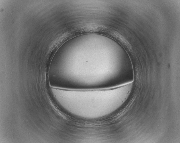 X0000067940493200604131135