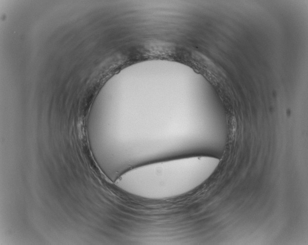 X0000067940514200604131135