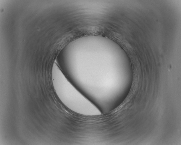 X0000067940528200604131134