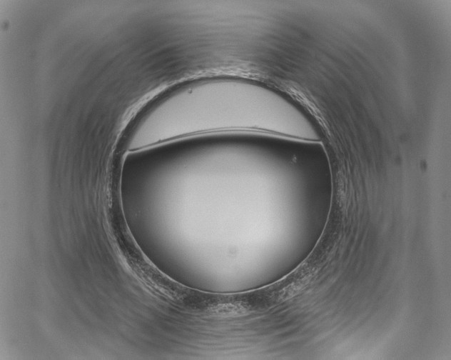 X0000067940536200604131134