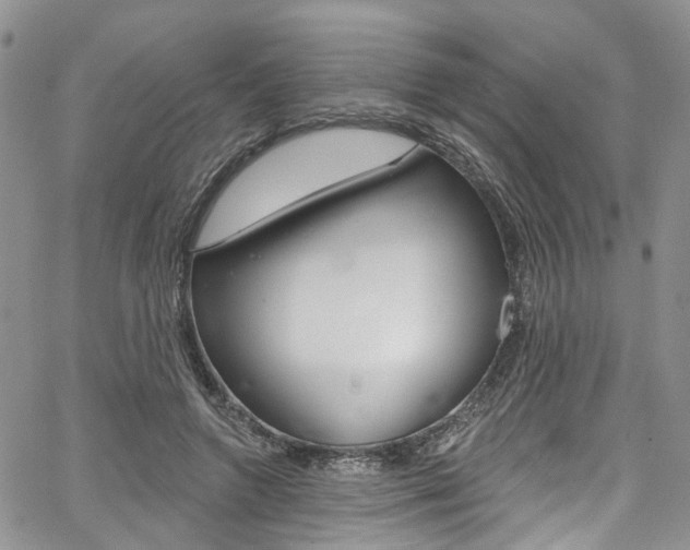 X0000067940546200604131134