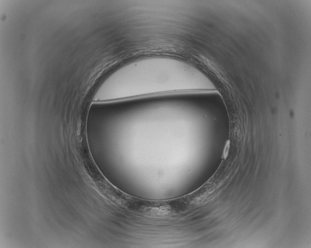 X0000067940548200604131134