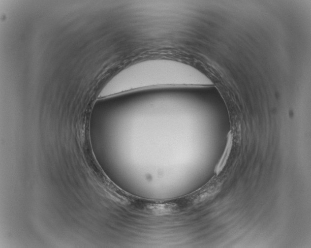X0000067940558200604131134