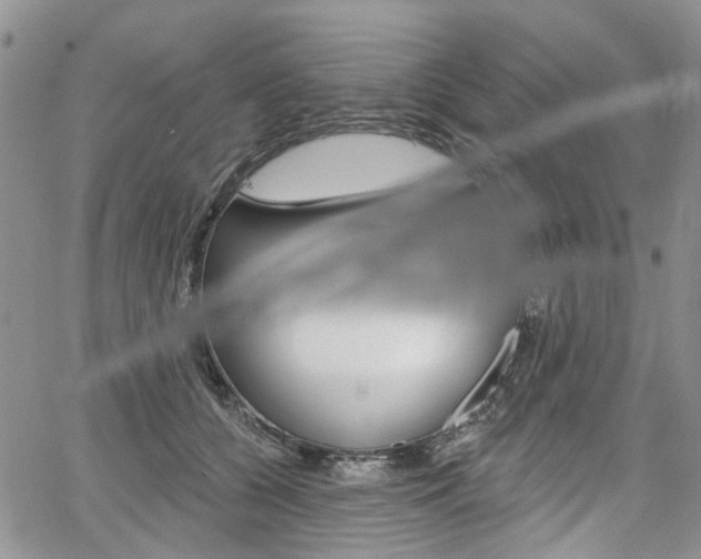 X0000067940560200604131134