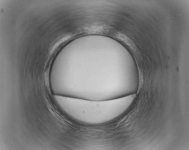 X0000067940583200604131134