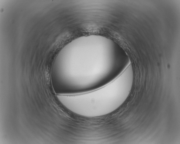 X0000067940609200604131133