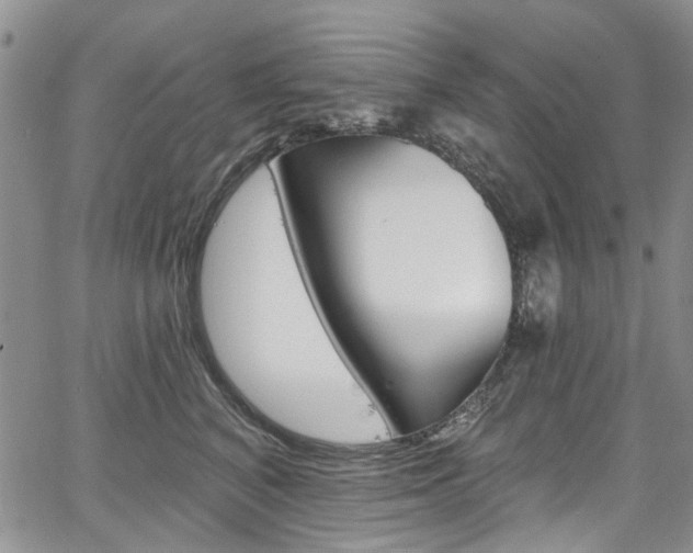 X0000067940616200604131133