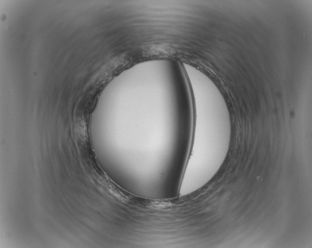 X0000067940617200604131133