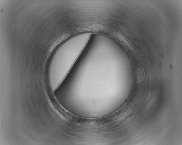 X0000067940634200604131132