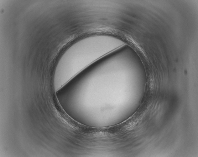X0000067940637200604131132