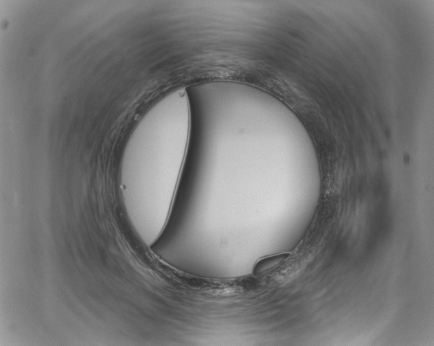 X0000067940646200604131132