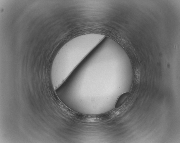 X0000067940657200604131133