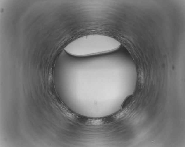 X0000067940665200604131133