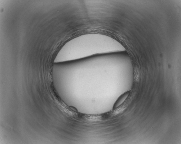 X0000067940670200604131133