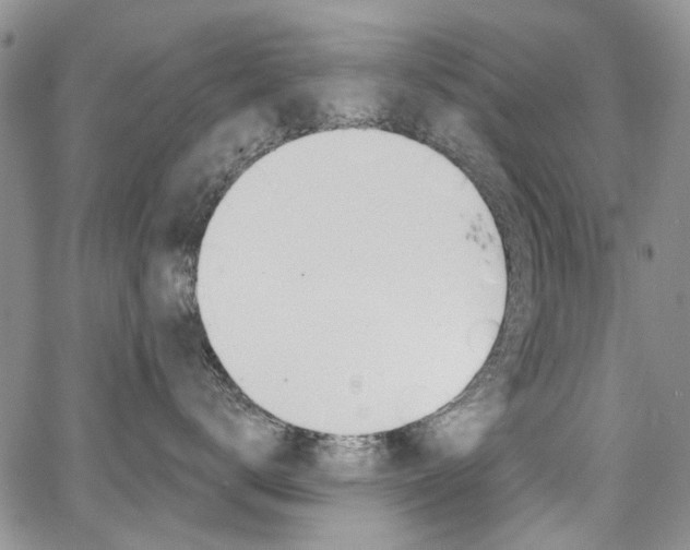 X0000067940672200604131133