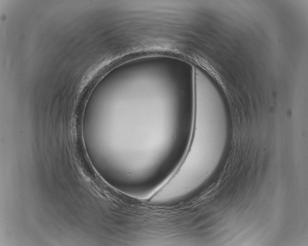 X0000067940676200604131132