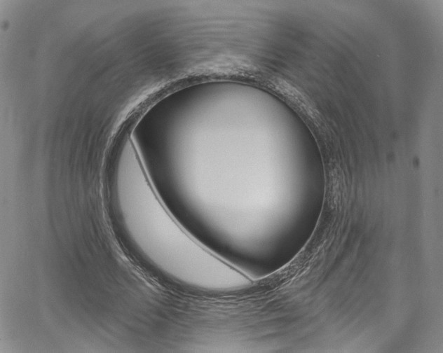 X0000067940680200604131132