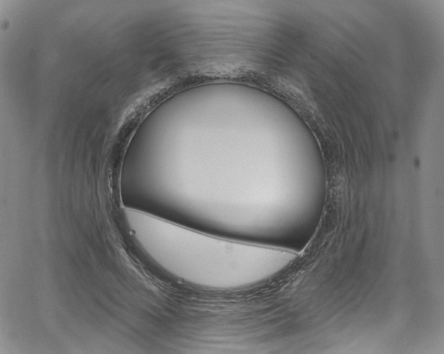 X0000067940688200604131132