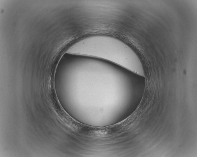 X0000067940692200604131132