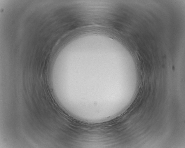X0000067940705200604131132