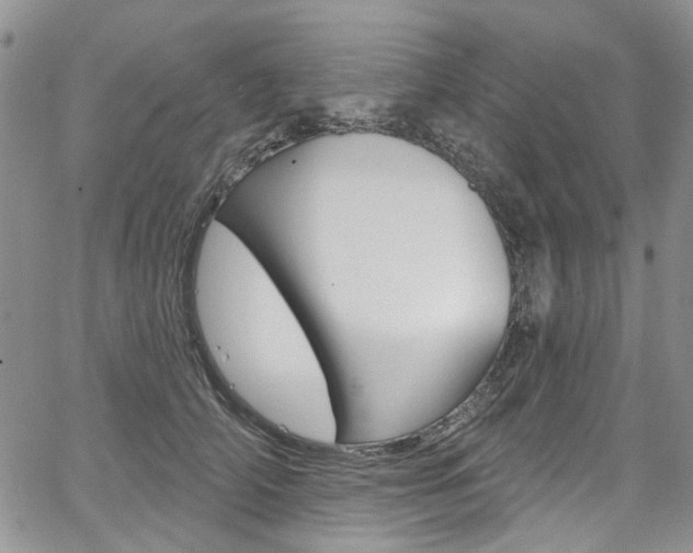 X0000067940706200604131132