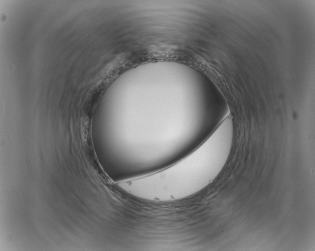 X0000067940712200604131131