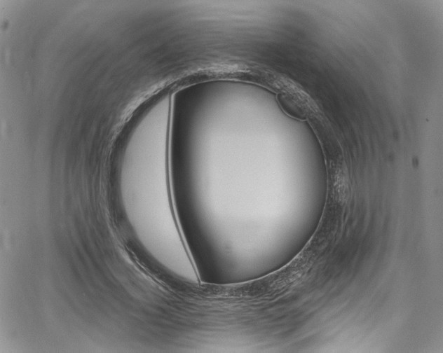 X0000067940732200604131131