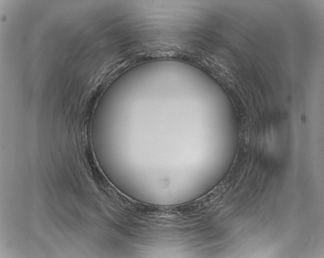 X0000067940743200604131131