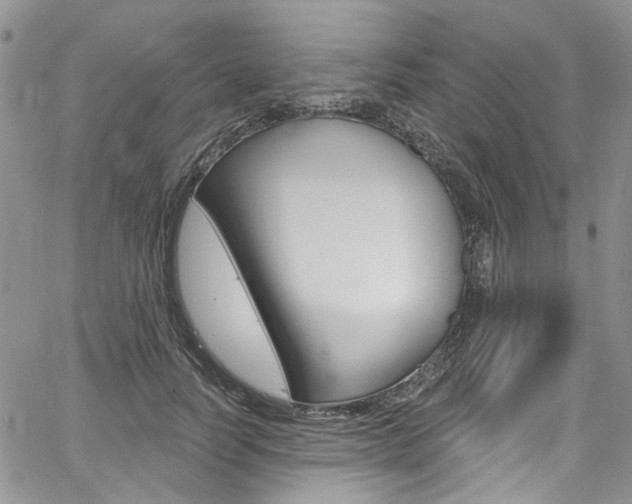 X0000067940746200604131131