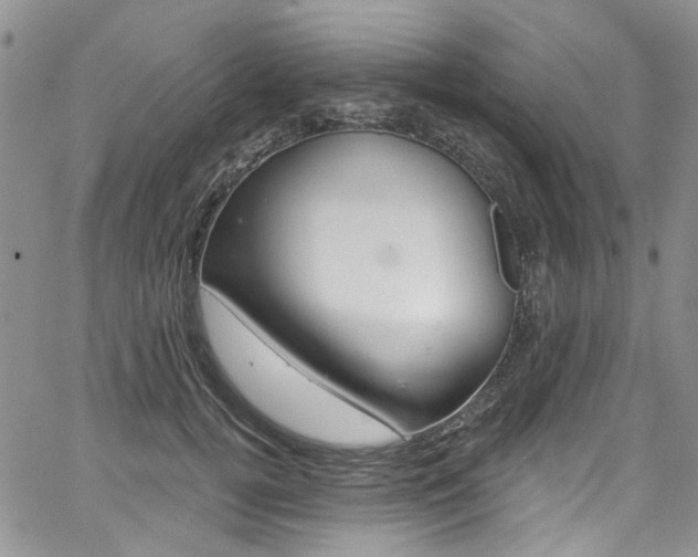 X0000067940752200604131131