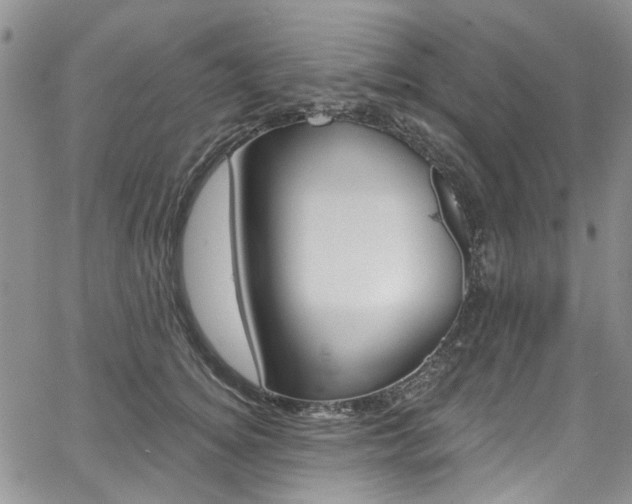X0000067940756200604131131
