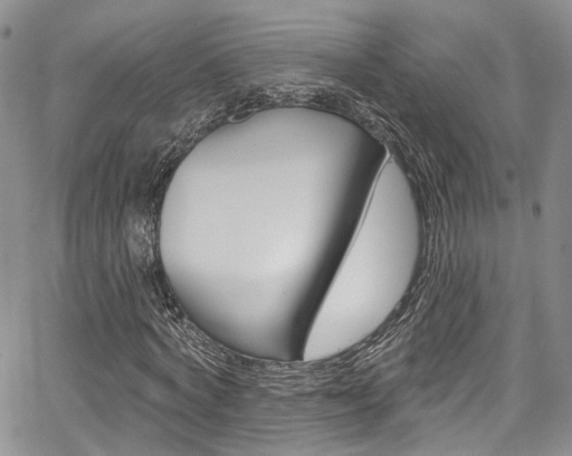 X0000067940772200604131131