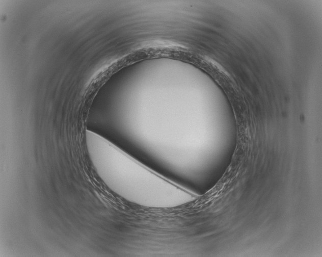 X0000067940775200604131130