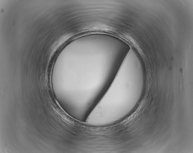 X0000067940780200604131130