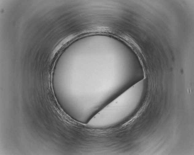 X0000067940781200604131130