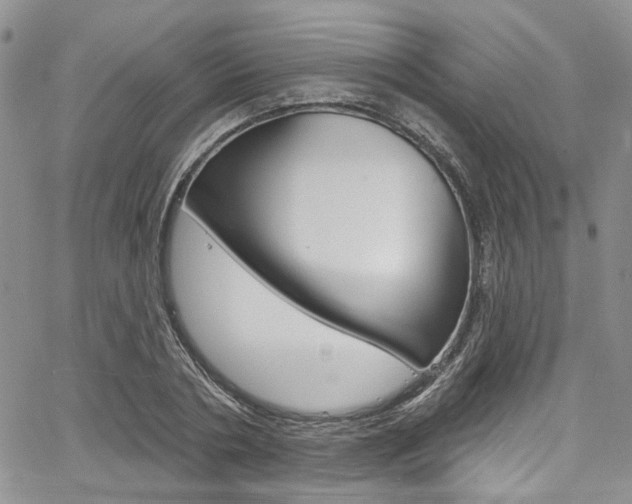 X0000067940786200604131130