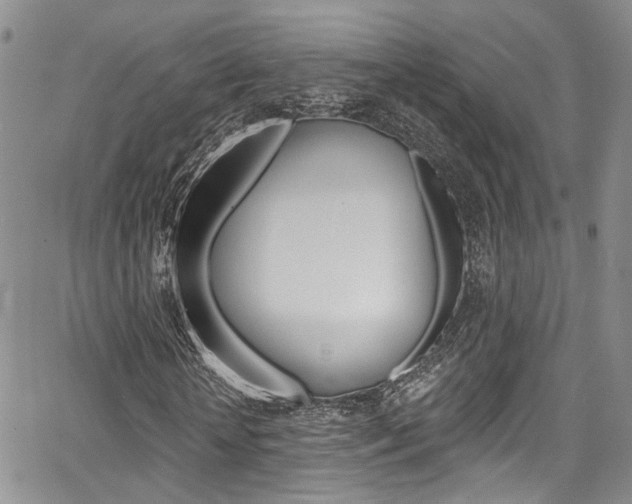 X0000067940818200604131129