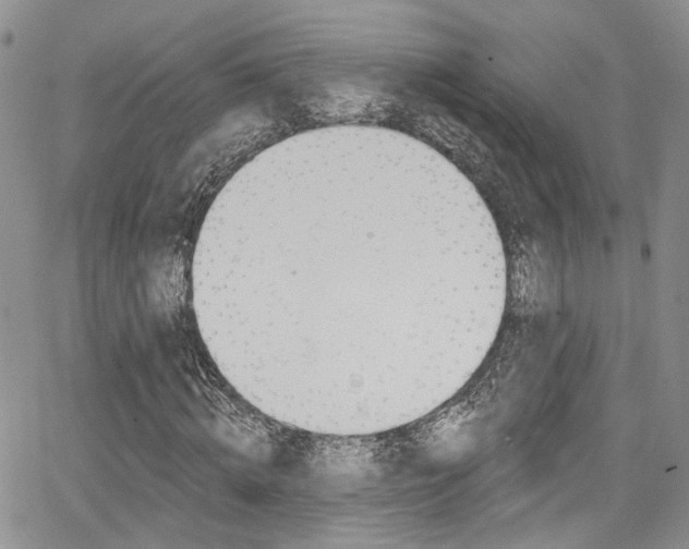 X0000067940820200604131129
