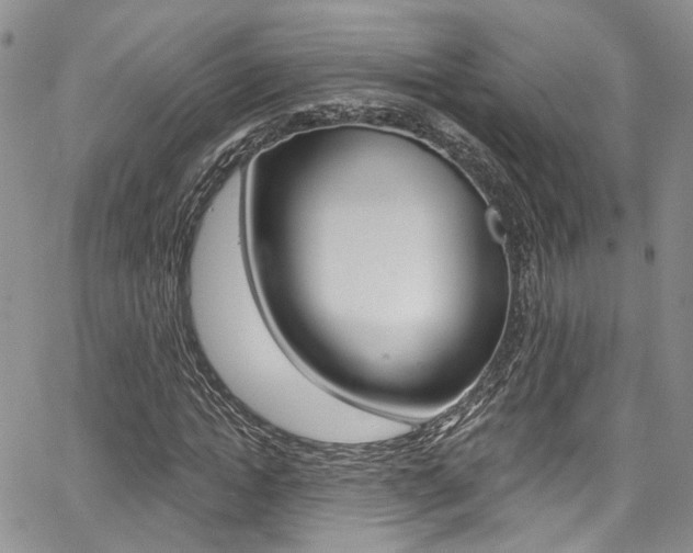 X0000067940822200604131129