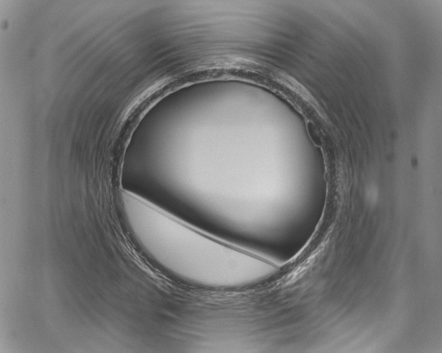 X0000067940826200604131129