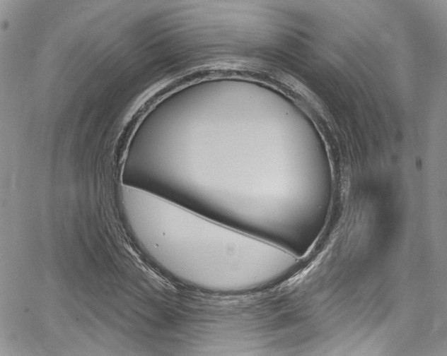 X0000067940829200604131129