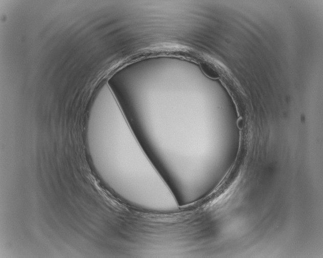 X0000067940833200604131129