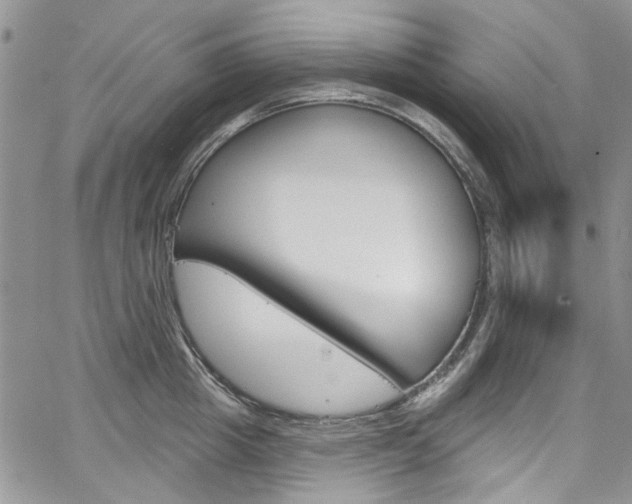 X0000067940857200604131130