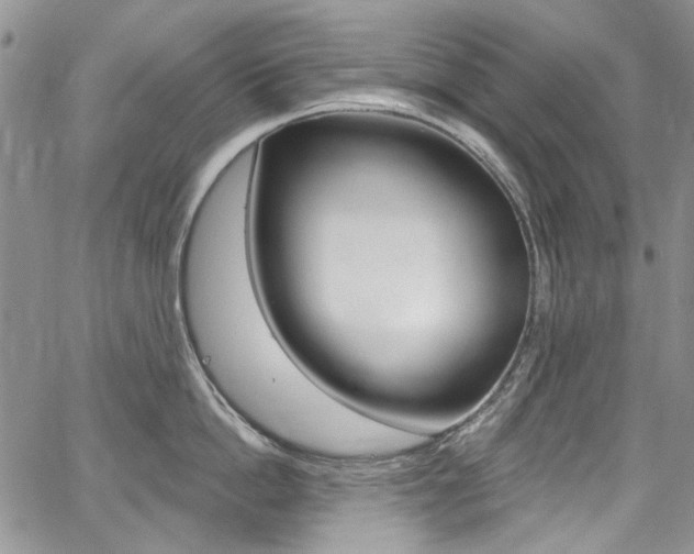 X0000067940862200604131130