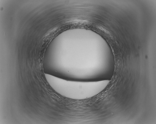 X0000067940869200604131129