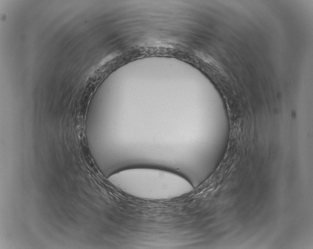 X0000067940870200604131129