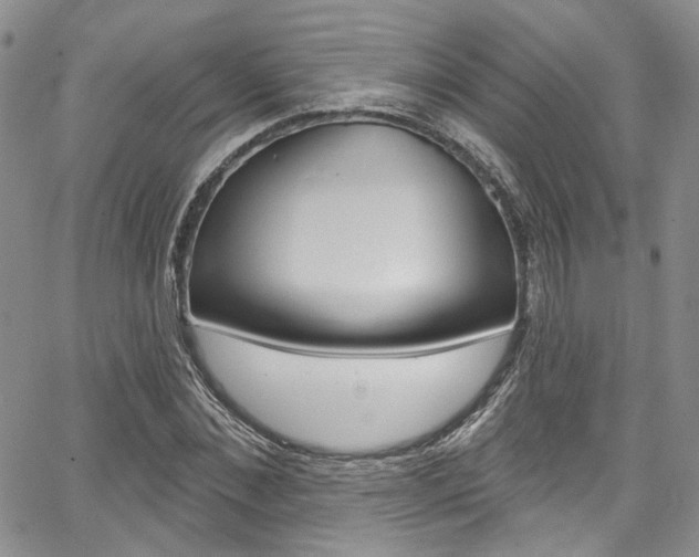 X0000067940876200604131129