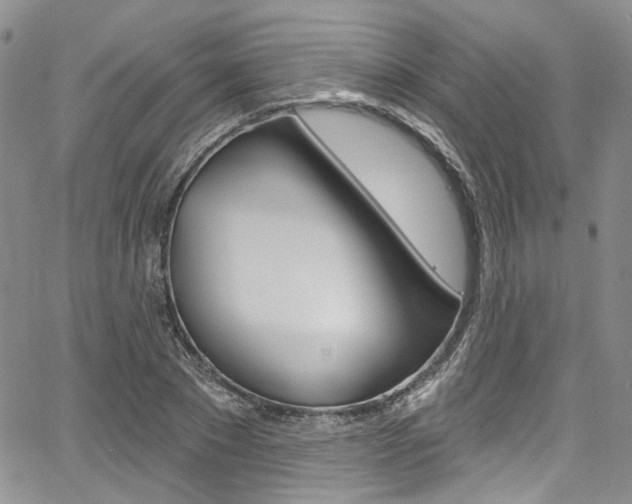 X0000067940881200604131129